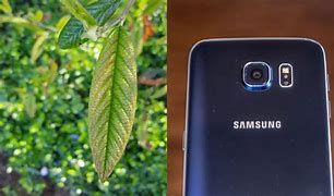 Image result for Galaxy S6 Camera