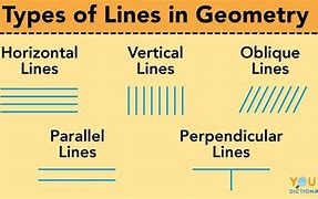 Image result for Kinds of Lines Math