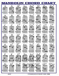 Image result for Basic Mandolin Chords