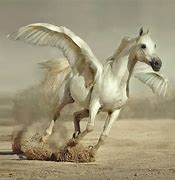 Image result for Mythical Pegasus Horse