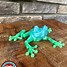 Image result for Squishy Frog Toy
