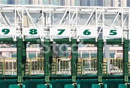 Image result for Starting Gate Graphics