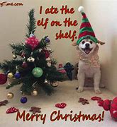 Image result for Merry Christmas in Dog Language