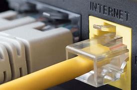 Image result for Cable for Internet Connection Connecter