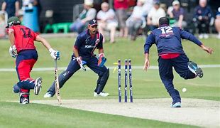Image result for Cricket in Norway