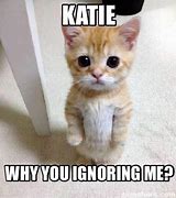 Image result for Why Are You Ignoring Me Meme