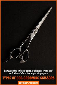 Image result for Using Dog Grooming Scissors