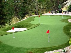 Image result for Backyard Golf Ideas