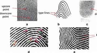 Image result for Core Fingerprints