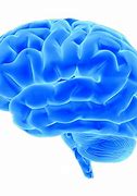 Image result for Universe Is a Giant Brain