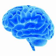 Image result for Drawing of Blue Brain