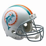 Image result for Miami Dolphins Helmet