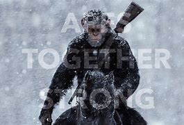 Image result for Planet of the Apes Apes Together Strong