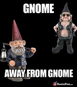 Image result for Black Gnome Meme