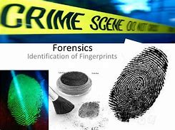 Image result for CSI Fingerprint