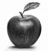 Image result for Apple Still Life Drawing