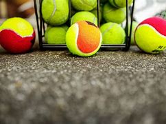 Image result for Tennis Ball Meme