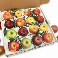 Image result for Apple Orchhad Boxes