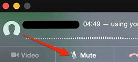 Image result for How to Mute a Phone