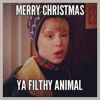 Image result for Merry Christmas Sarcastic Meme