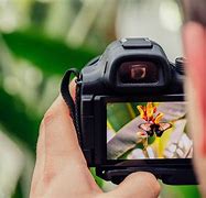 Image result for Taking Macro Photos
