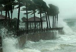 Image result for Typhoon Si Sang
