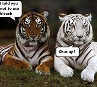 Image result for STI Tiger Meme