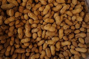 Image result for Allergy Peanut Look Like