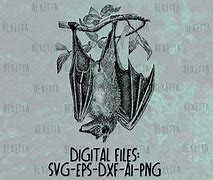 Image result for Upside Down Bat Line Art