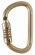 Image result for Rescue Carabiner