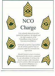 Image result for NCO Leaders Book