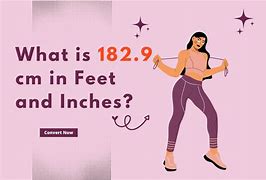 Image result for 182 Cm in Feet