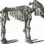 Image result for Dinosaur Bones Clip Art