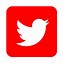 Image result for Twitter Logo for Print