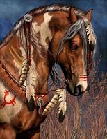 Image result for Indian War Horse