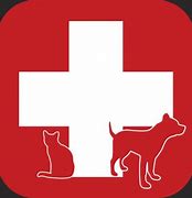 Image result for Red Cross Pet CPR
