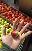 Image result for Small Smaller Smallest Apple