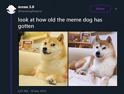 Image result for Strong Doge Then and Now Memes