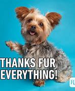 Image result for Thank You Funny Samsung