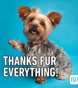 Image result for Thank You for Your Help Funny
