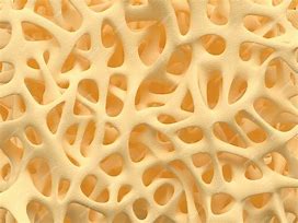 Image result for Bone Texture and Normals