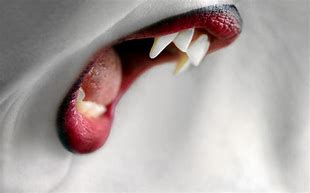Image result for Vampire Teeth Images