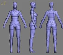 Image result for 3D Human Blueprint