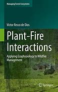 Image result for Site Plant On Fire