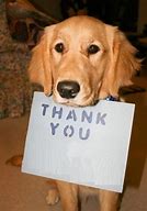 Image result for Thank You Cute Dog Meme