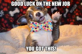 Image result for Good Luck New Job Meme