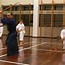 Image result for japan martial art style