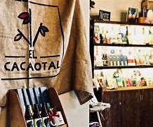 Image result for cacaotal