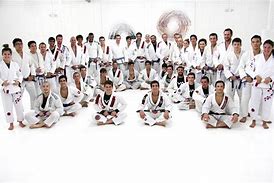 Image result for Jiu Jitsu School V Photo