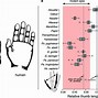 Image result for Hand Bone Anatomy Mnemonic